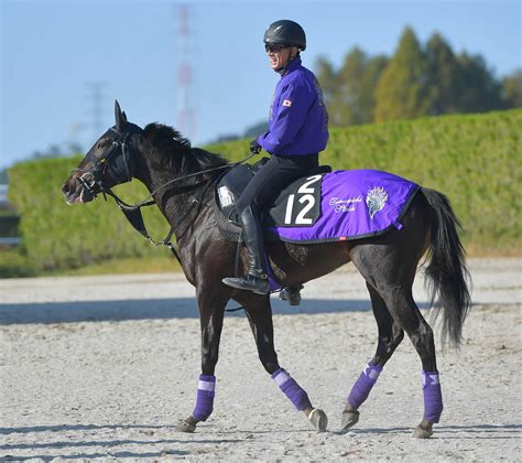 良血馬オヌールが繁殖入り 右前肢繋靭帯炎で現役引退 競馬ニュース Netkeiba