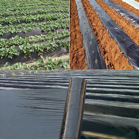 Best Quality Silver Black Mulching Weedmat UV Plastic Mulch Layer Film