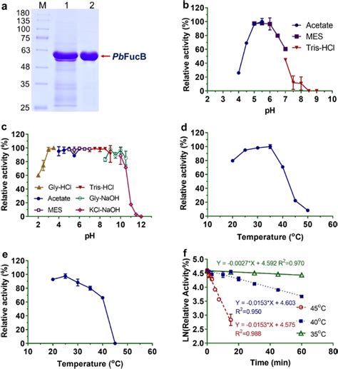 Sdspage Analysis And Enzymatic Characterization Of Pbfucb A Sdspage