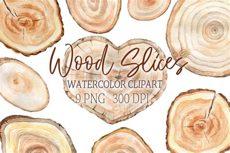 Watercolor Wood Slice Clipart Rustic Slices Clip Art