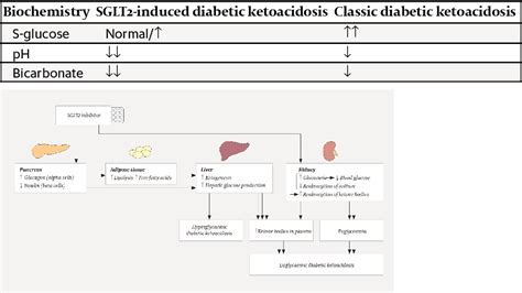 Table 1 From Severe Ketoacidosis In A Patient Taking An Sglt2 Inhibitor