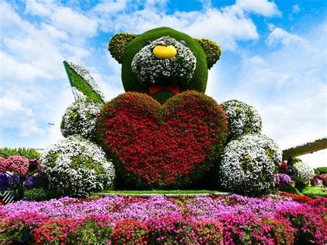 Dubai Skip The Line Ticket To Dubai Miracle Garden Getyourguide