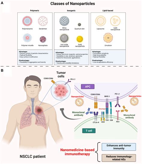 Frontiers The Emerging Nanomedicine Based Technology For Non Small