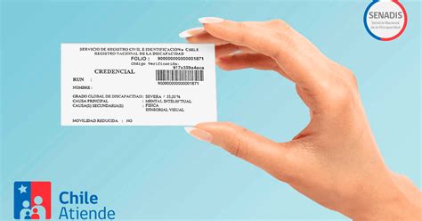 ¿cómo Sacar El Certificado Y Carnet De Discapacidad De Forma Online En Chile Credencial De