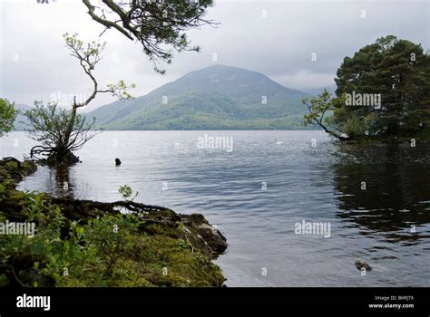 Killarney National Park, Ireland Stock Photo - Alamy