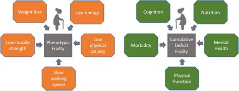 Two Approaches To Identifying Frailty In This Figure We Describe Two