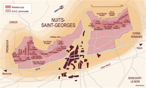 Nuits Saint Georges Burgundy France Wine Winetour Winetravel Wi