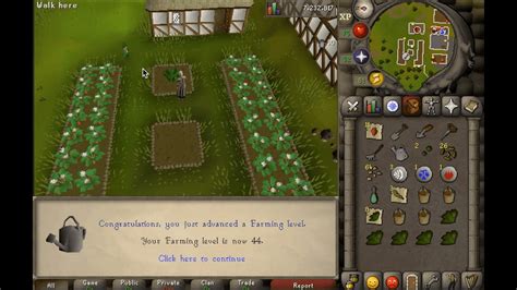 Osrs Farming Guide From Basics To 99