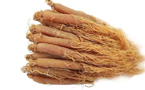 Ginseng Merah Korea Diklaim Bisa Jadi Booster Kinerja Vaksin Covid 19