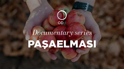 OD Documentary Series Paşa Elması YouTube