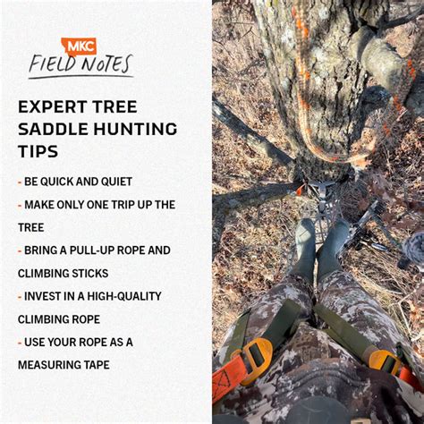 From Setup To Takedown Mastering The Art Of Tree Saddle Hunting