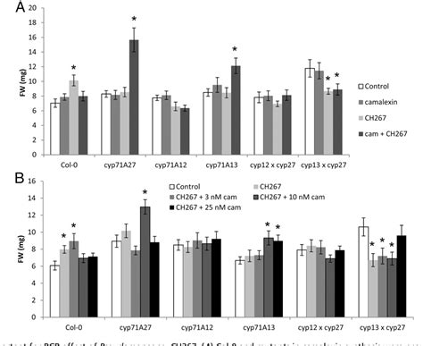 Figure From Root Specific Camalexin Biosynthesis Controls The Plant