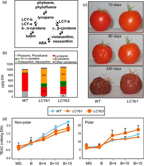 Carotenoid Composition Shelf Life And Antioxidant Activity Of