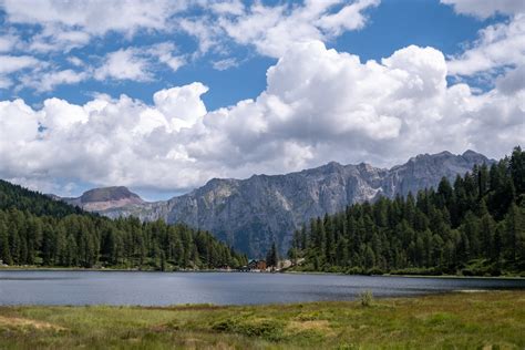 Lake Mountains And Flowers Lago Delle Malghette Trentin Flickr