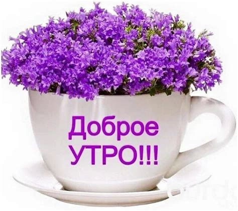 Доброе Утро Друзья Картинки Позитивные Пожеланиями — Фото Картинки
