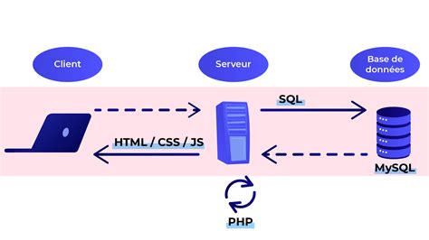 Découvrez les bases de données Comprendre le Web OpenClassrooms