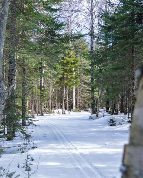 Rangeley Lakes Trails Center