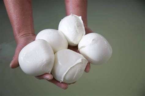 La Mozzarella Di Bufala A Colazione Diventa Un Piatto Di Tendenza