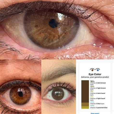 My Eye Color Prediction Mexican With Parents Dad Top Mom Left R