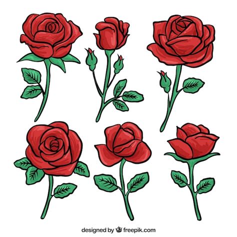 Set De Rosas Rojas Dibujadas A Mano Vector Gratis