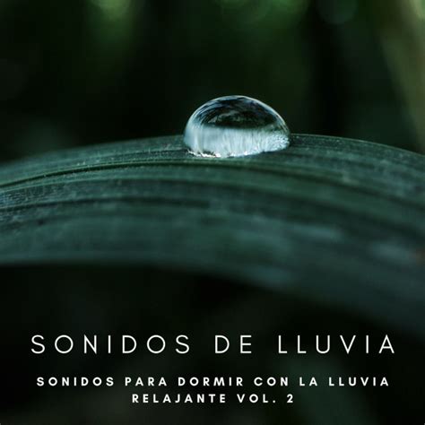 Sonidos De Lluvia Sonidos Para Dormir Con La Lluvia Relajante Vol 2