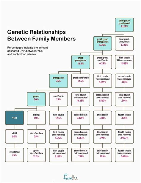 How Much DNA Do Family Members Share? (With Cousin Relationship Chart) - Famlii | Family tree ...