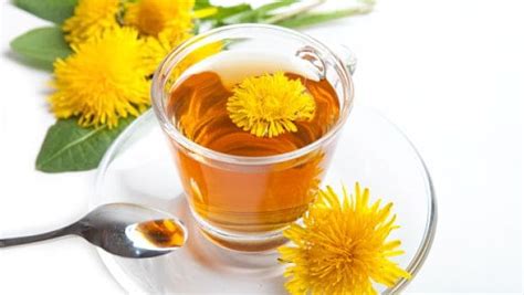 8 Amazing Benefits Of Dandelion Tea For Your Health Beattransit