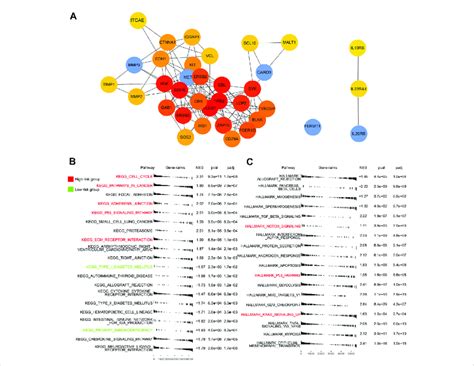 Ppi Of Five Genes And Gsea Of High And Low Risk Groups A The