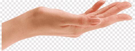 Hand, hand, hand clipart png | PNGEgg