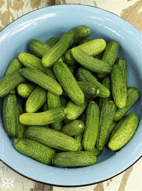 Pickles De Pepino Feito Em Casa Cozinha Da Matilde Ideias Para