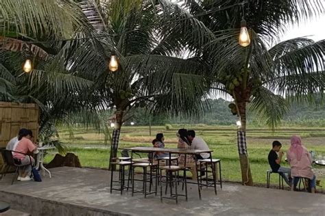 Tepi Sawah Coffee And Food Di Serang Banten Yang Cocok Untuk Nongkrong