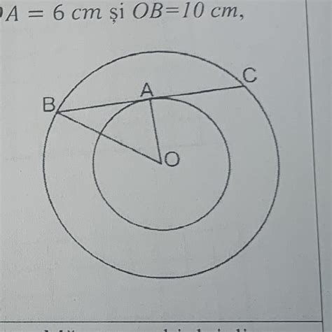 N Figura Al Turat Sunt Reprezentate Dou Cercuri Concentrice De