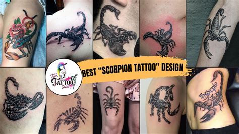 Awesome Scorpion Tattoo Designs On Chest Scorpion Tattoos Scorpion