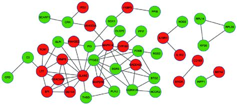 Protein Protein Interaction Networks Of Differentially Expressed Genes