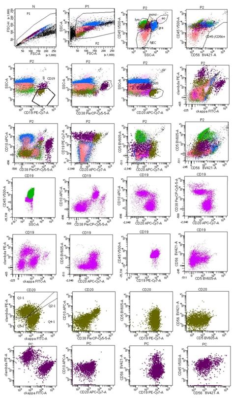 A Multi Parameter Flow Cytometry Solution For Simple And Rapid