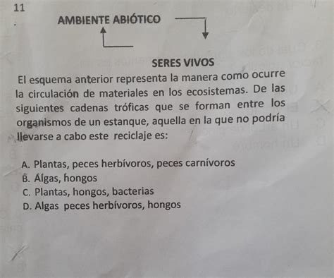 Ayuda Doy Corona Y Corazon Alumnos Planeaciondidactica Cucea Udg Mx