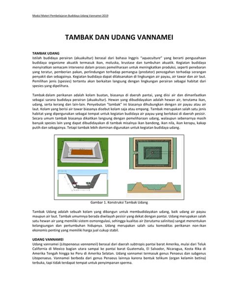 Tambak Dan Udang Vannamei Pdf