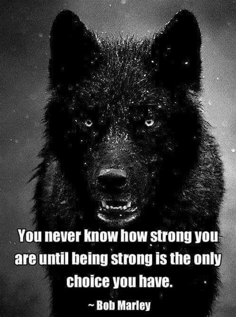 Pin By Passionpleasure On Wolves Wolf Quotes Quotes About Strength