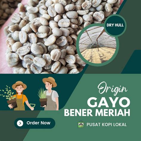 Jual Green Bean Biji Kopi Arabika Gayo Baner Meriah Full Wash Kg