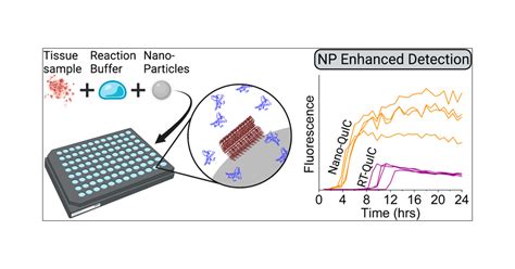 Nanoparticle Enhanced RT QuIC Nano QuIC Diagnostic Assay For