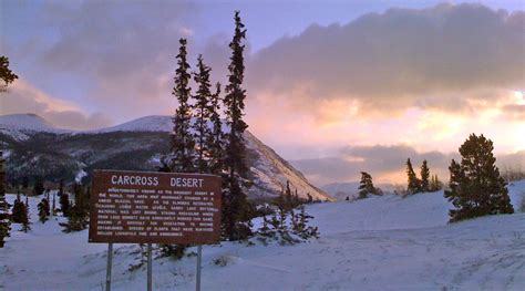 Carcross Desert: The Smallest Desert In The World • Lazer Horse