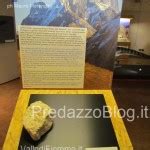 Predazzo Museo Geologico Delle Dolomiti Dinomiti Rettili Fossili