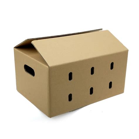 Double Wall Ply Vegetable Packaging Boxes