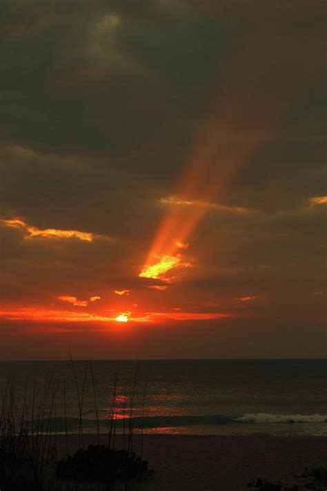 Golden Sun Rays Photograph by Steven Wood - Fine Art America