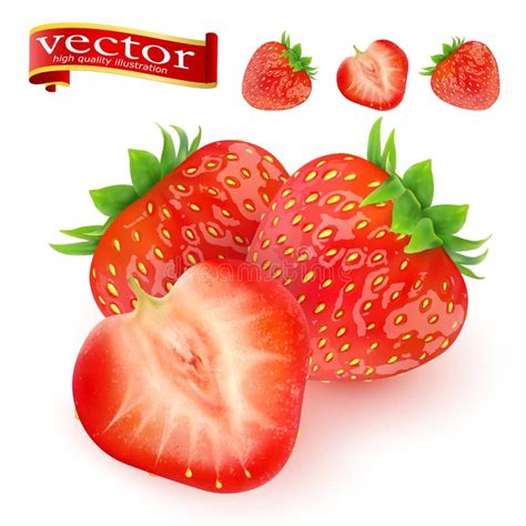 Fresa Fruta Dulce Iconos Del Vector D Fijados Ilustraci N Realista