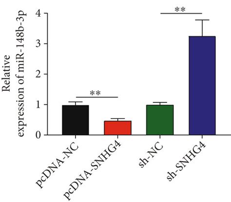 The Target Relationship Between MiR 148b 3p And SNHG4 A A Binding