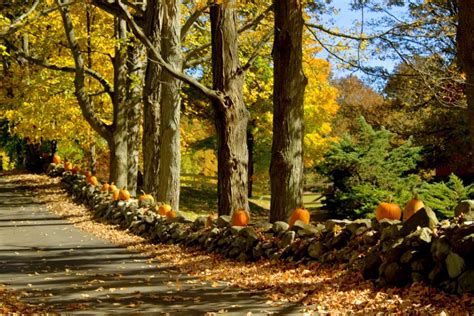 New England Stone Walls Photos Yankee Magazine