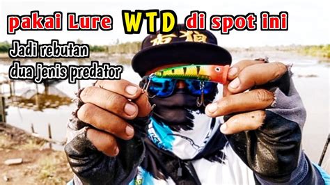 CASTING PREDATOR PAKAI LURE POPPER DI SPOT INI SELALU SAMBAR Mancing