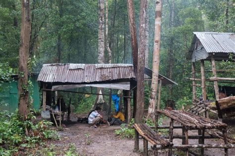 Trekking the Cardamom Mountains in Cambodia