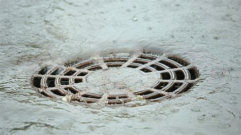 Understanding And Preventing Blocked Stormwater Drains Wp Plumbing